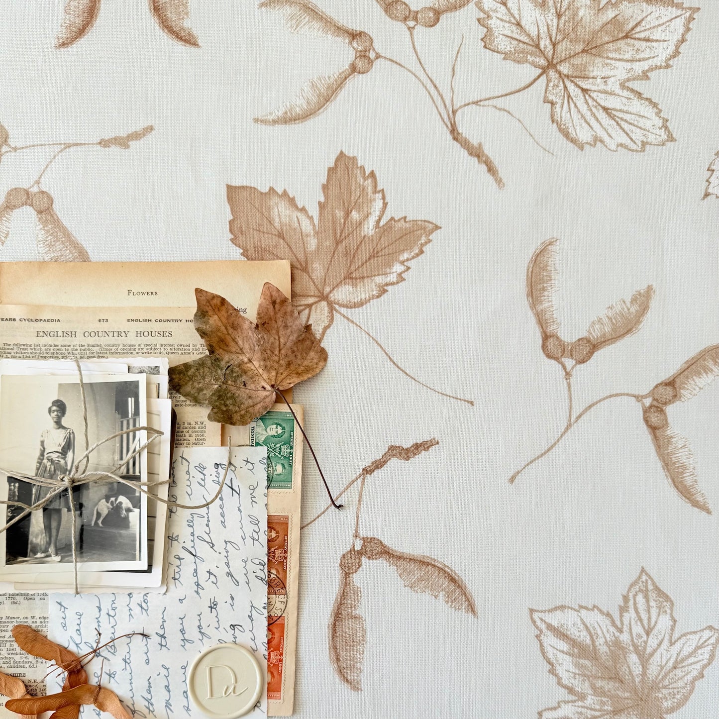 Maple Drift — Faded Canopy Collection